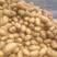 荷兰十五土豆产地直发，便宜货源，充足质量保证，全国发货
