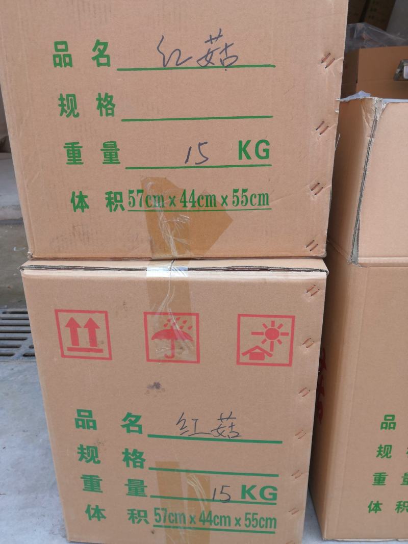 伏牛山脉自然形成，产地直发人工烘干优质红菇