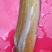 大量批发