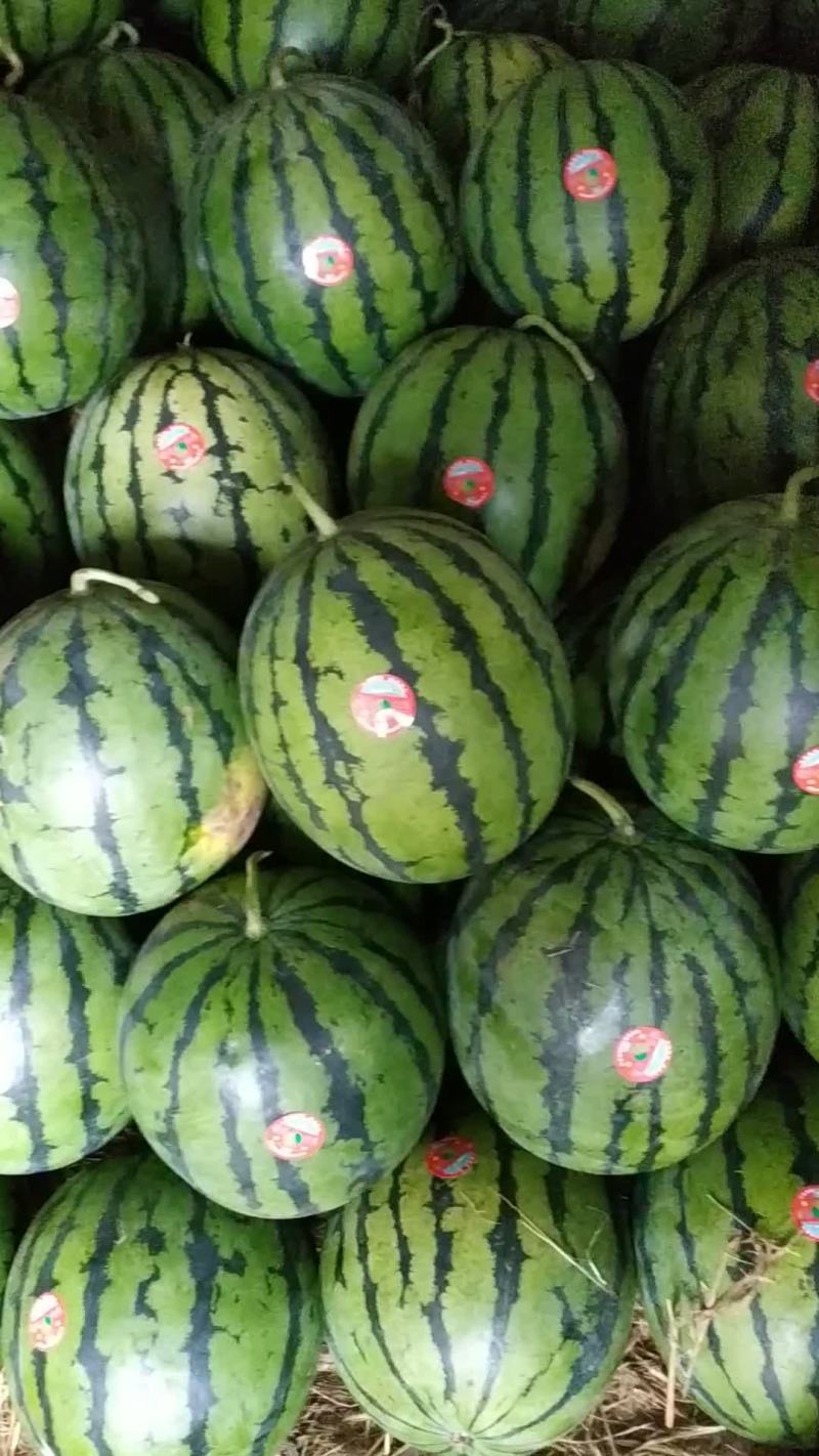 赤峰西瓜现在开始大量上市了需要的客户联系