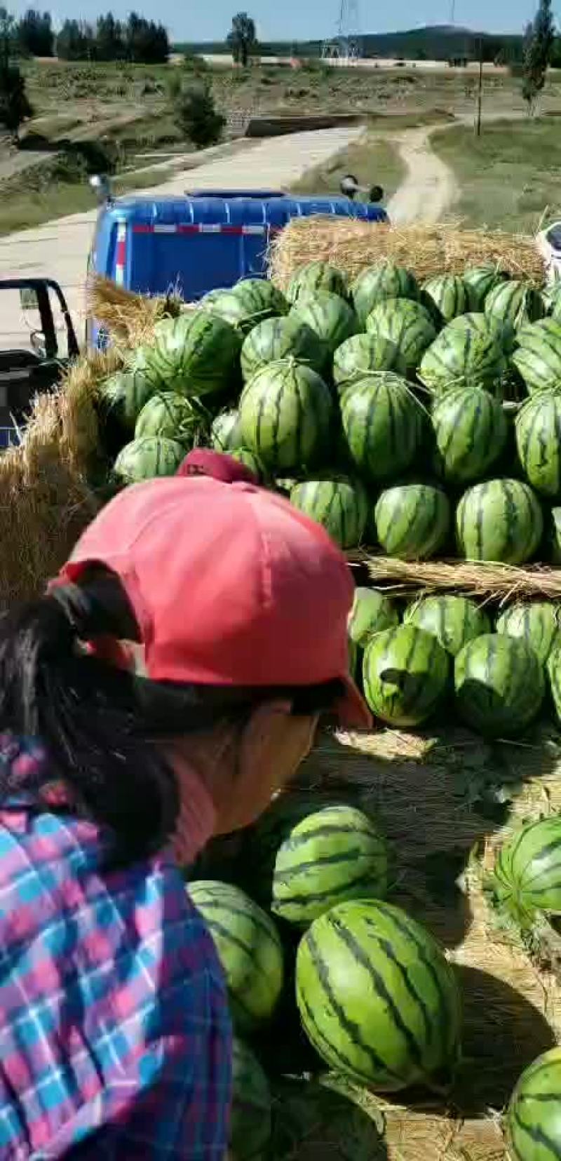 赤峰西瓜现在开始大量上市了需要的客户联系