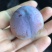 小脆红