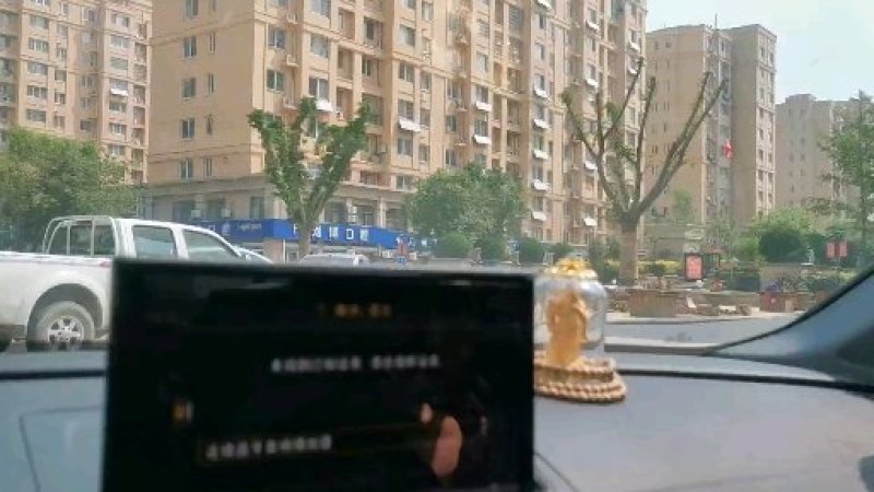 百年嫁接古银杏树，全部移栽成活，价格不高