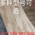 竹签小吃竹签烧烤竹签批发蔬菜串串香麻辣烫烤肠鸡柳烤羊肉串