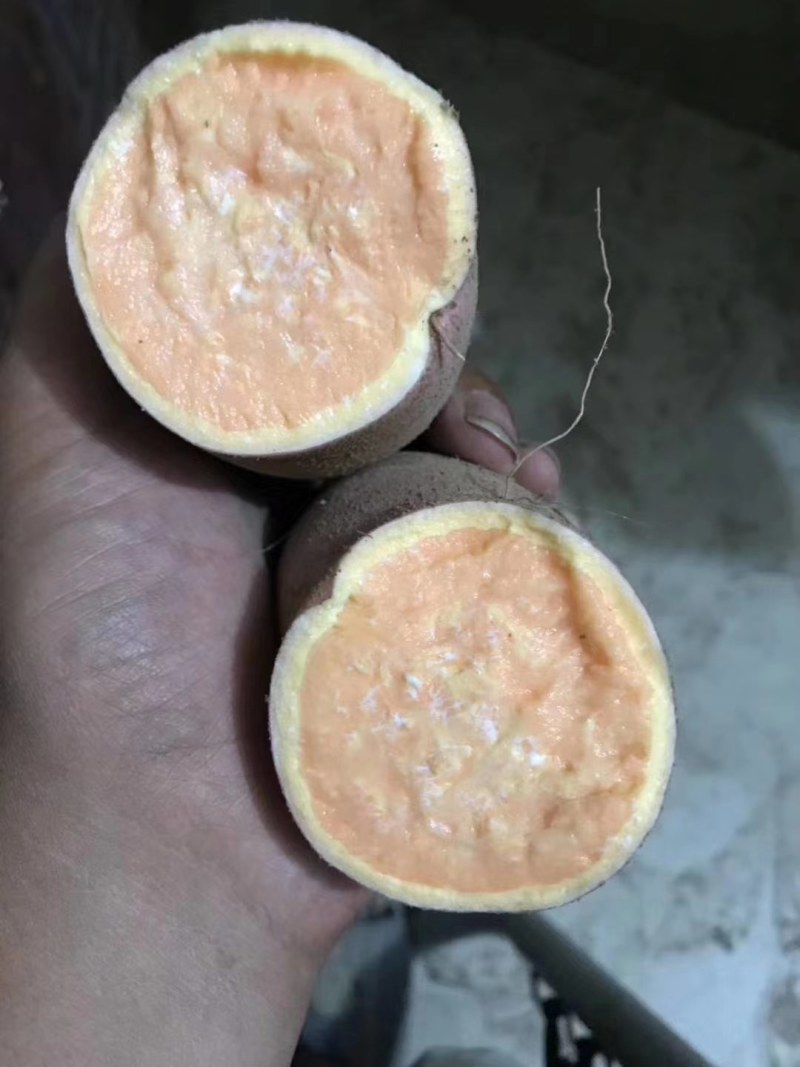 开封龙九红薯，加工厂电商走市场，对接批发商超欢迎咨询