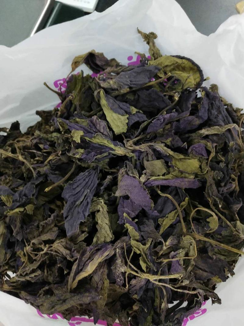 紫苏叶苏叶一手货源