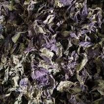 紫苏叶苏叶一手货源