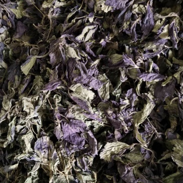 紫苏叶苏叶一手货源
