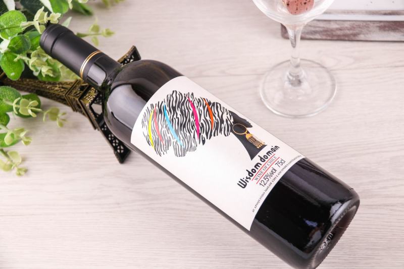 智利进口红酒一件代发OEM定制厂家直批诚招代理加盟
