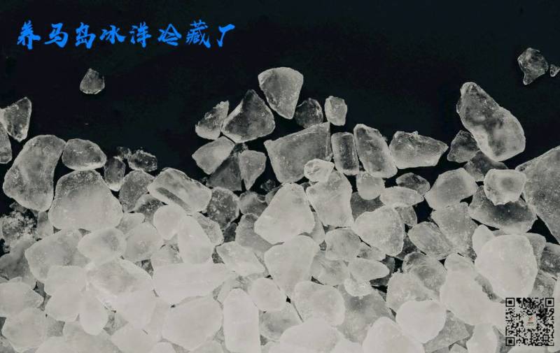 水产品蔬菜海鲜扇贝运输储存保鲜降温冰块碎冰冰棒
