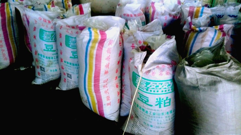 2021年3月新货麦冬自然晒货质量好色泽亮颗粒饱满