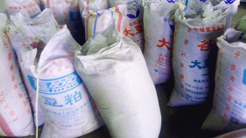 2021年3月新货麦冬自然晒货质量好色泽亮颗粒饱满