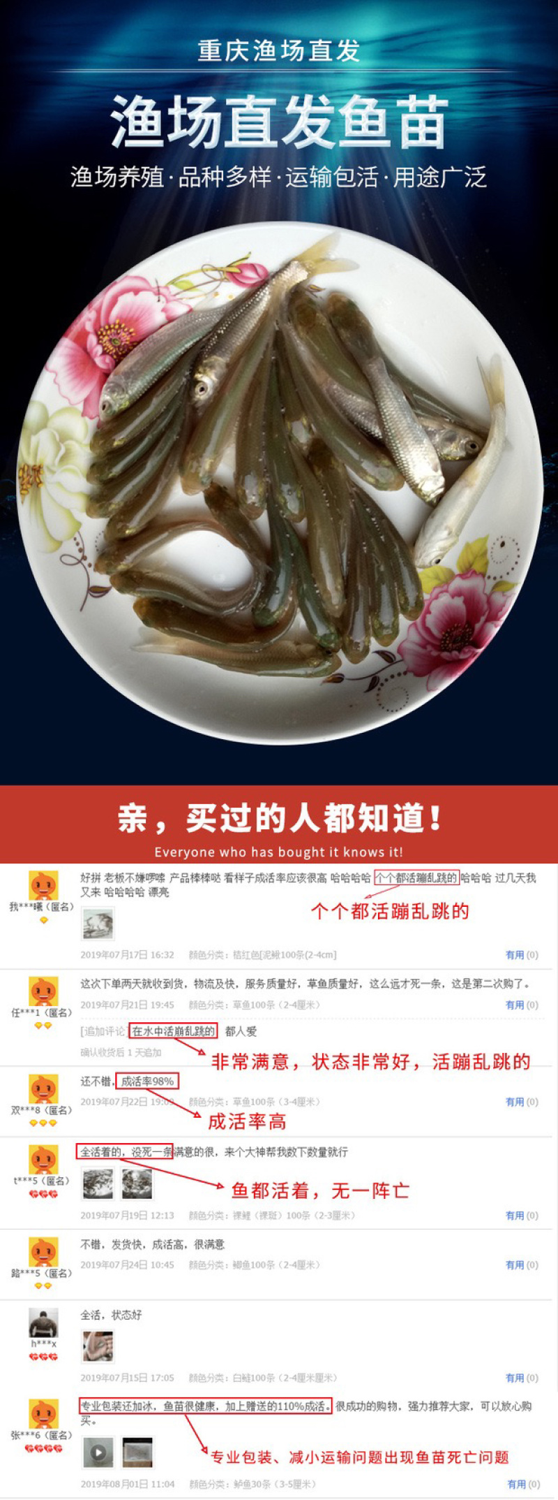 丁桂鱼丁桂鱼苗优质丁桂鱼苗批发