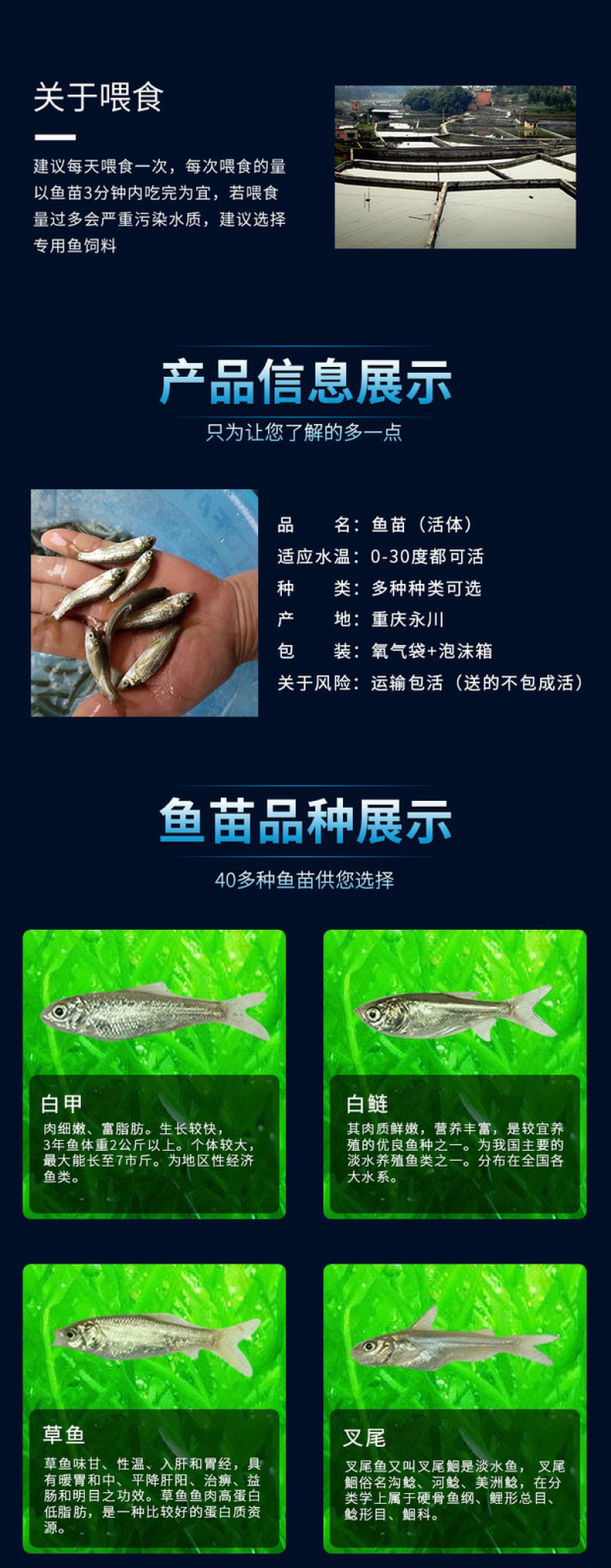 丁桂鱼丁桂鱼苗优质丁桂鱼苗批发