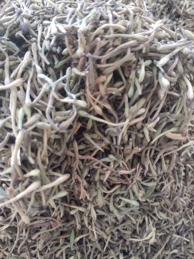 贵州金银花包邮到家哦