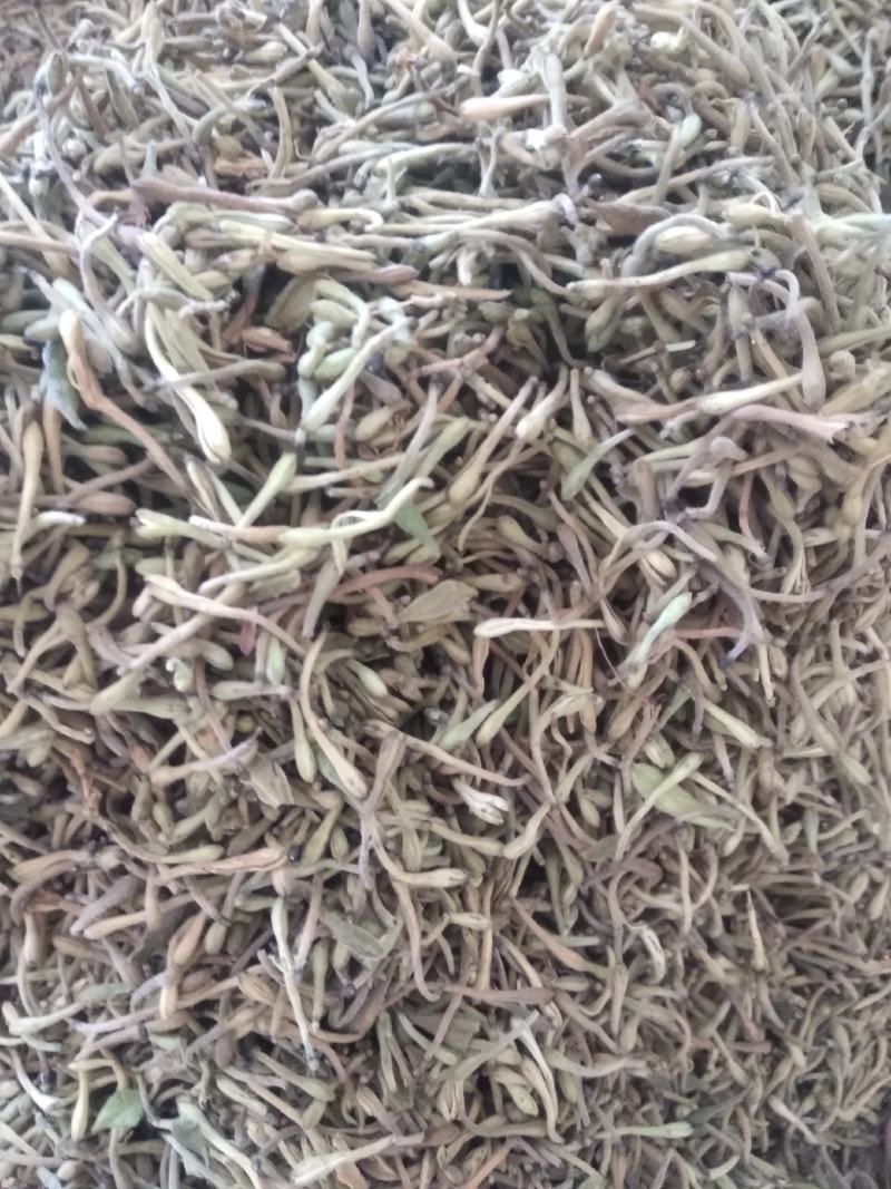 贵州金银花包邮到家哦