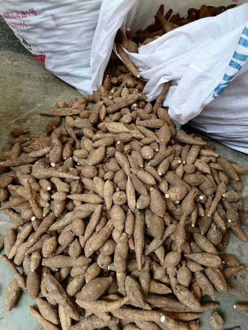 牛大力，野生黑皮牛大力，家种的都有，分大，中，小规格