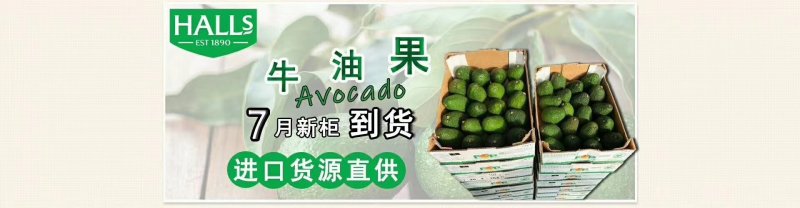 秘鲁牛油果鄂梨鲜果批发
