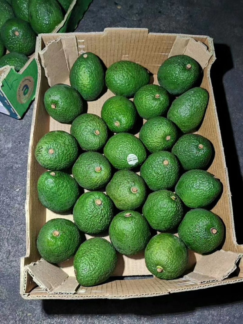秘鲁牛油果鄂梨鲜果批发
