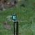 全国包邮大洲吊挂微喷滴头自动喷水器大棚节水灌溉喷头