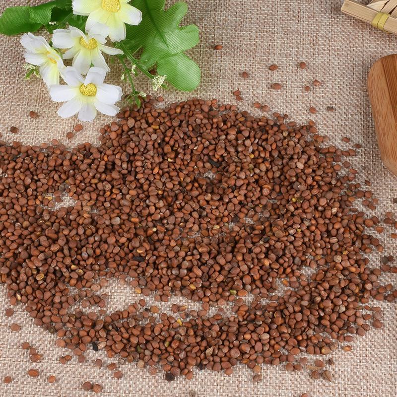 莱菔子批发新货莱菔子产地一手货源各种籽籽药批发零售