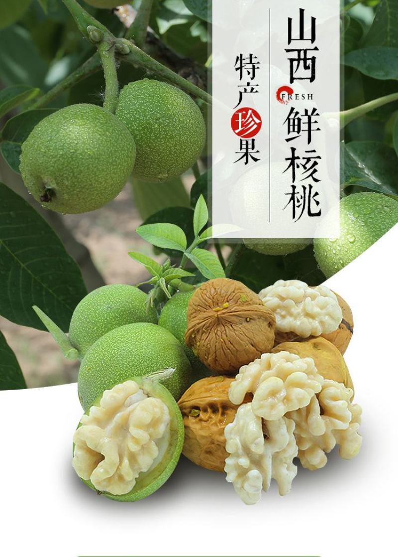 2022年新鲜现摘现发青皮绿皮湿核桃野生嫩核桃