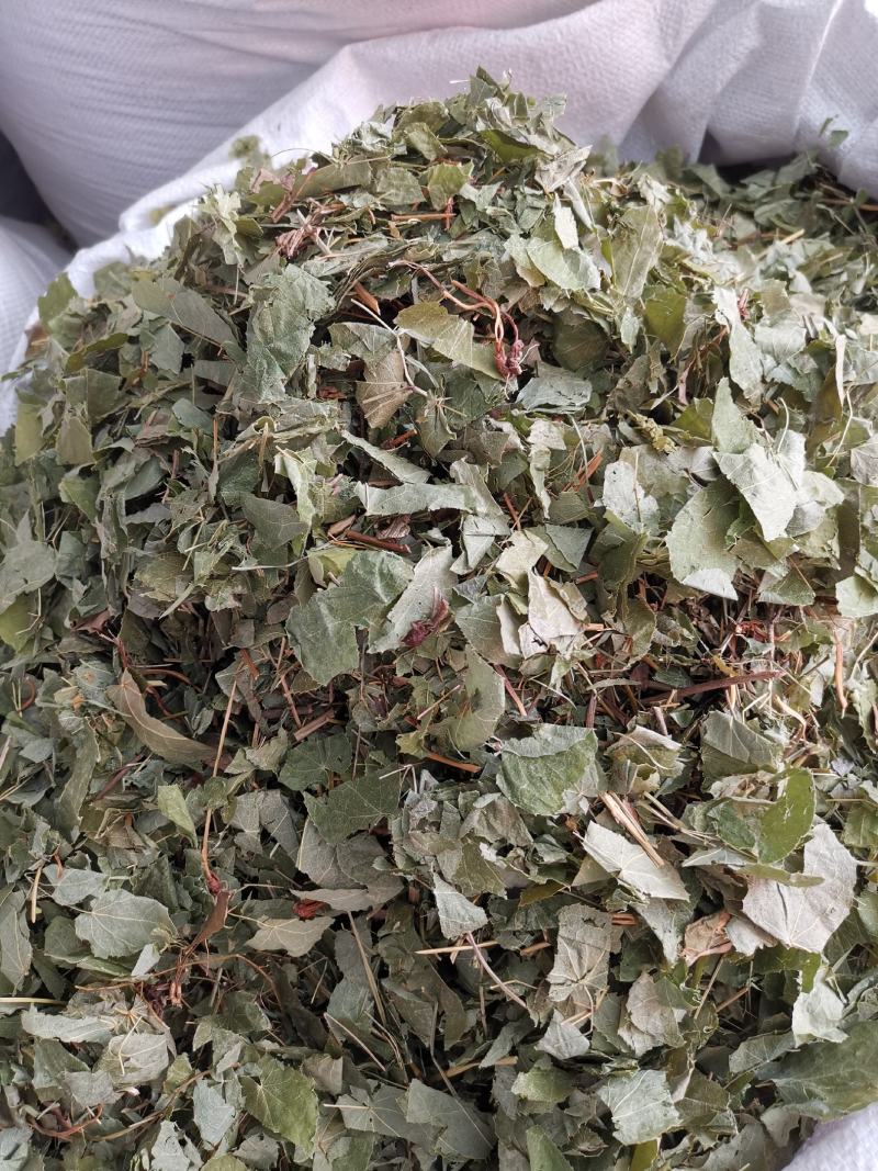 淫羊藿甘肃东北货产地直销各种规格可供大货品质保证