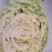 青甘蓝