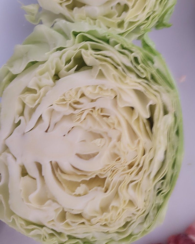 青甘蓝