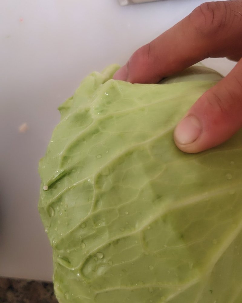 青甘蓝