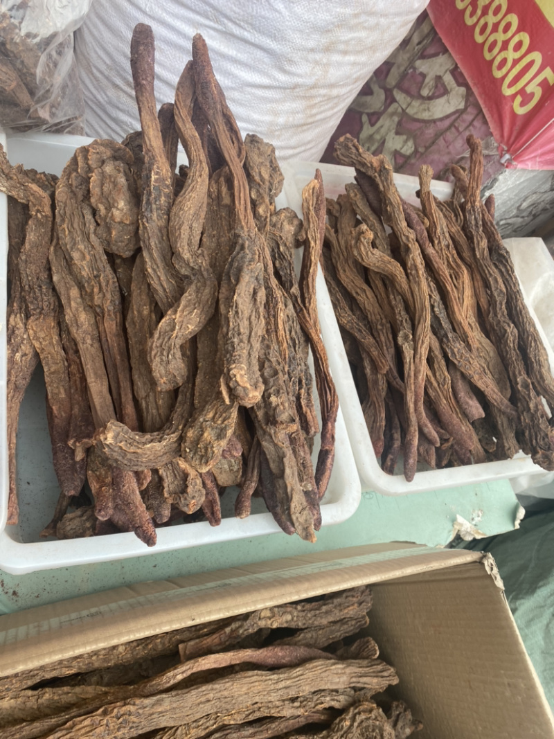锁阳正品锁阳批发各种中药材产地直销量大从优
