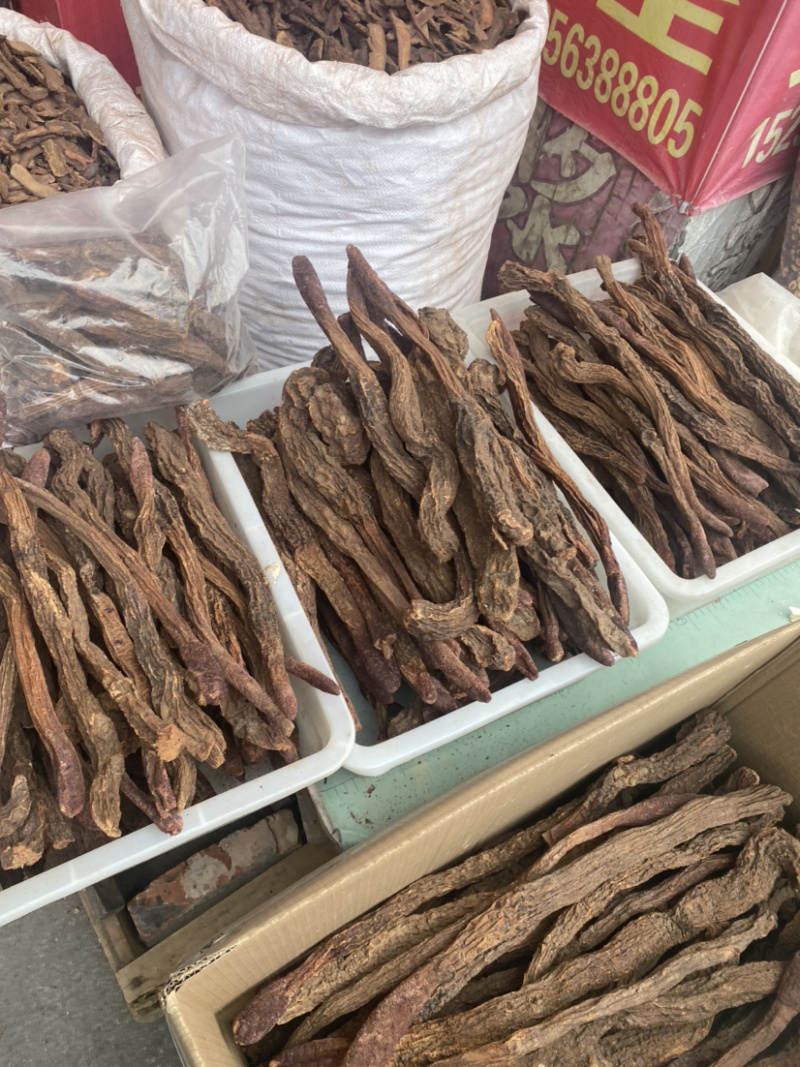 锁阳正品锁阳批发各种中药材产地直销量大从优