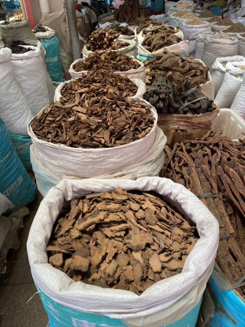 锁阳正品锁阳批发各种中药材产地直销量大从优