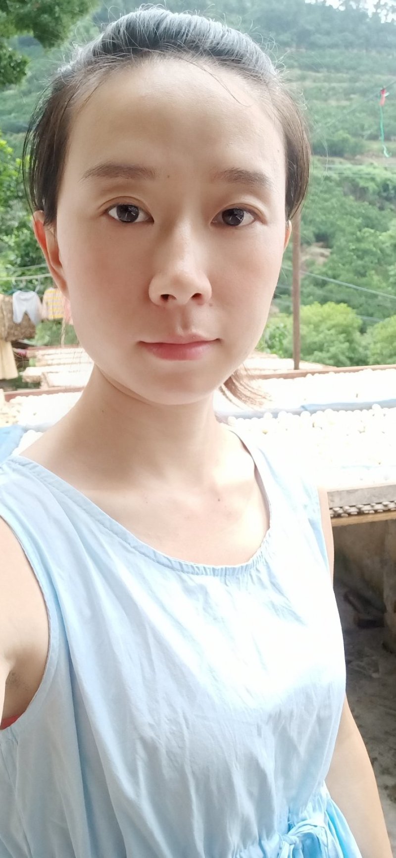 纯手工制作的酒曲，可以用来做甜酒，米酒，黄酒