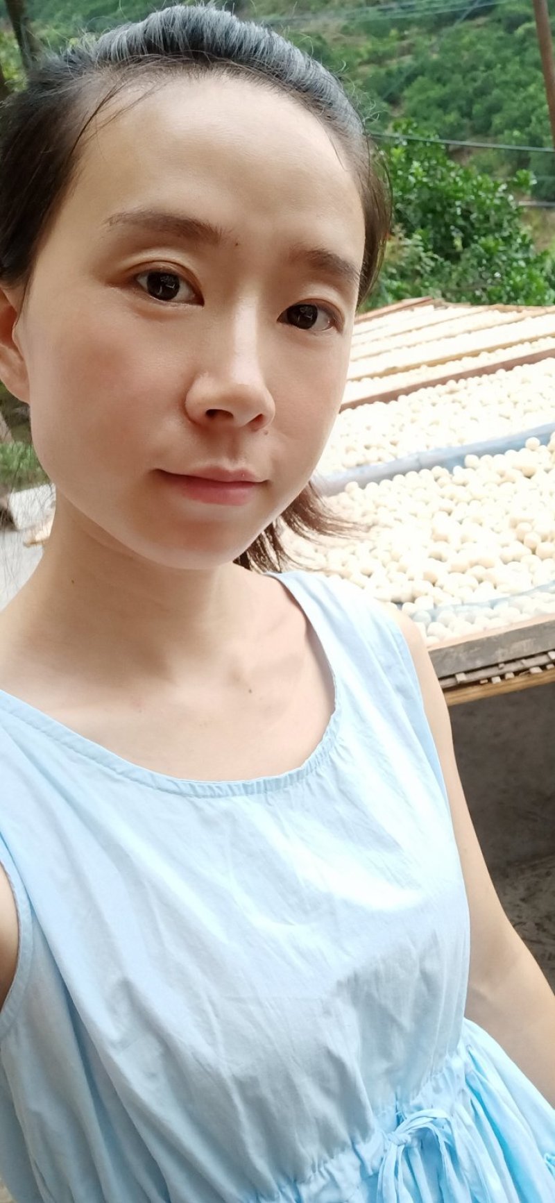 纯手工制作的酒曲，可以用来做甜酒，米酒，黄酒