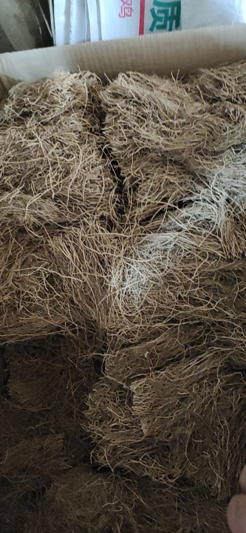 细辛根东北干货量大优惠2斤起包邮