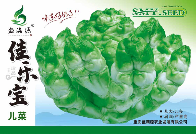 🔥儿菜种子重庆早熟儿菜