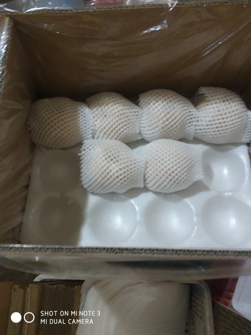 大《原产冠县丰水梨》，一件代发，质优价廉