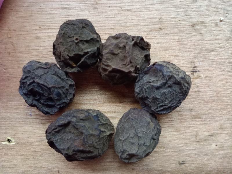 生乌梅，道地川乌梅个大肉厚质量保证，经营各种中药材！