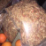 精品干虾龟石水库干虾日晒无盐小河虾虾米批发