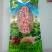 红薯粉条不加色素货真价实5斤起售量大从优
