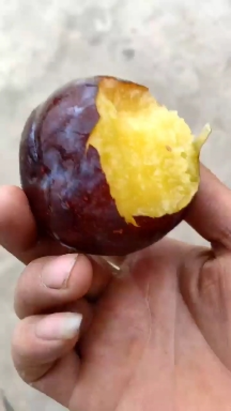 黑布林红布林大量上市