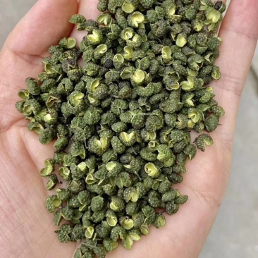 2022年精品青花椒，干花椒，颜色好麻度高，纯净，无杂质