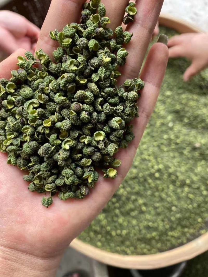 2022年精品青花椒，干花椒，颜色好麻度高，纯净，无杂质