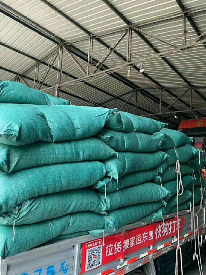 2022年精品青花椒，干花椒，颜色好麻度高，纯净，无杂质