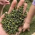 2022年精品青花椒，干花椒，颜色好麻度高，纯净，无杂质