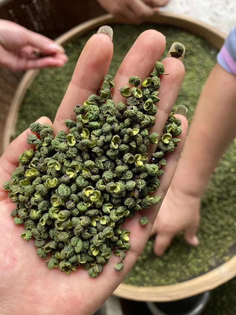 2022年精品青花椒，干花椒，颜色好麻度高，纯净，无杂质