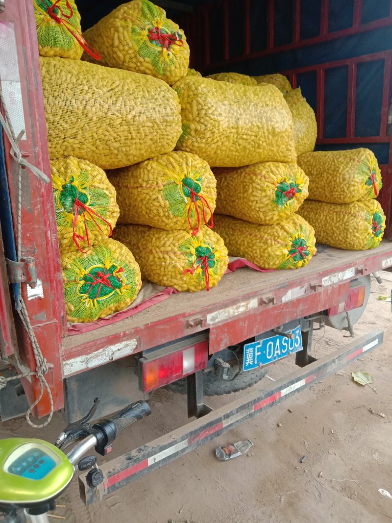 鲜花生，基地直供，白沙系列，豫花系列，鲁花系列，罗汉果。