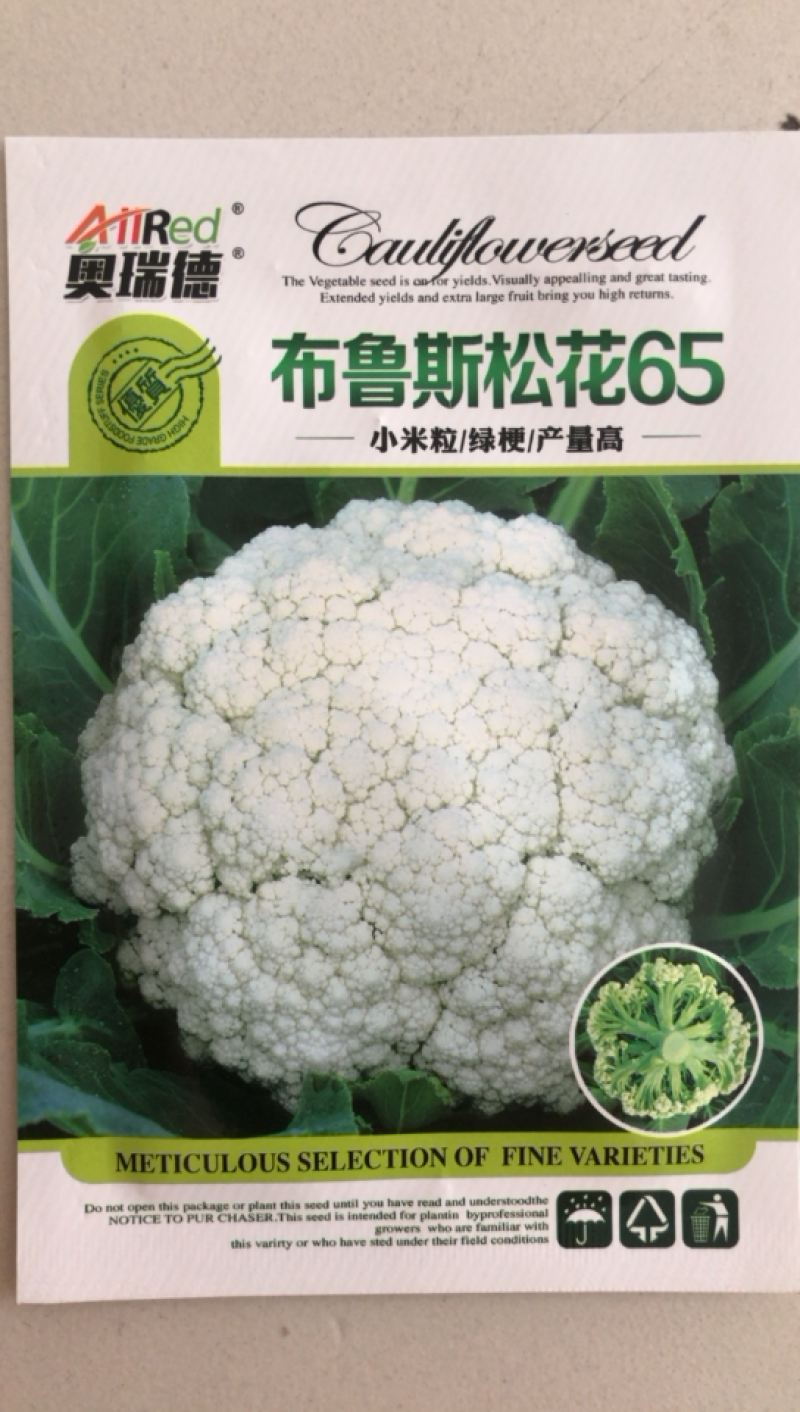 山东蔬菜种子有机青梗松花散花菜种子65天耐热高产籽