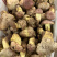 白葱菌粉菌见手青牛肝菌精品